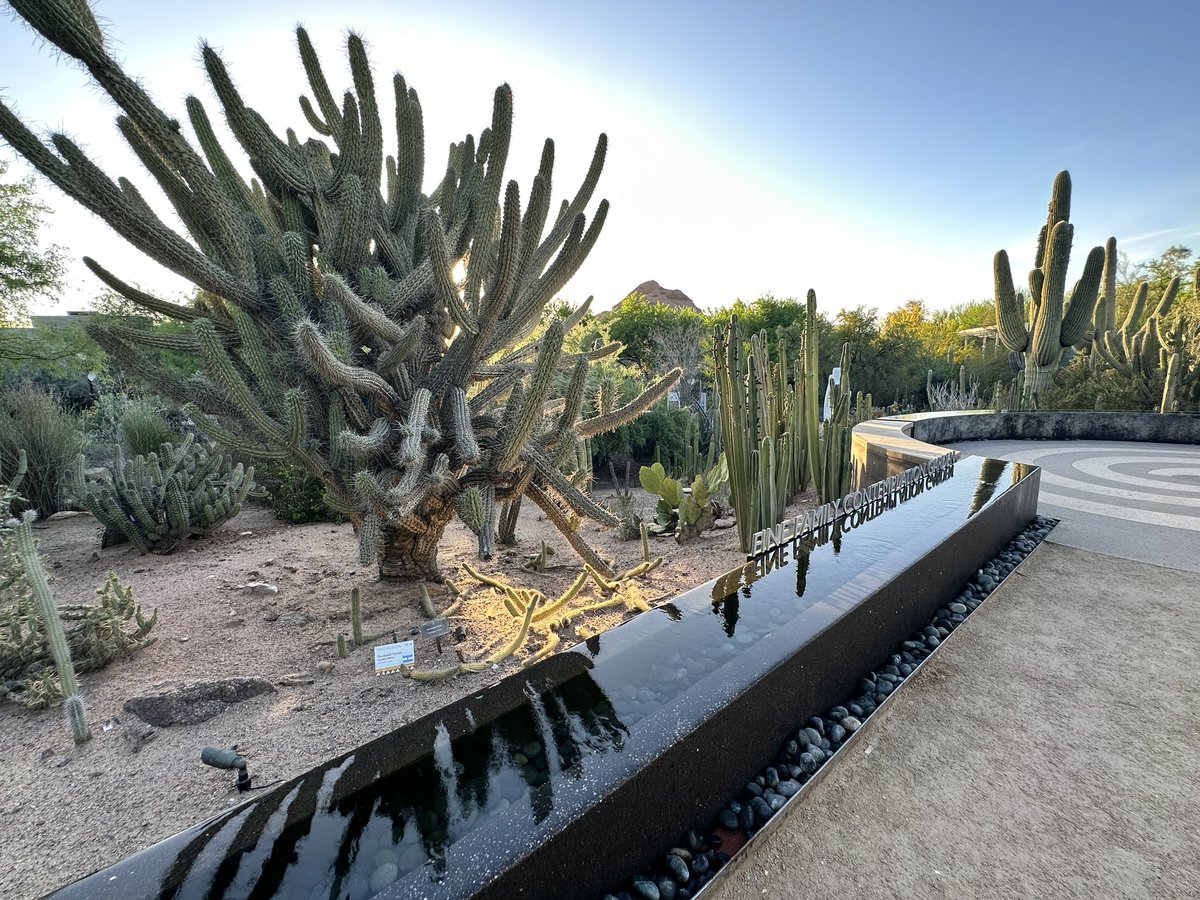 Katherine Ramos, PhD tweet media