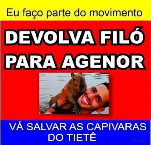 mvalquiria's tweet photo. Anos atrás a @luisamell errou ao divulgar seu telefone num programa na TV Gazeta e eu recebia centenas de chamados sobre resgate de animais em perigo.
Alguém tem o número dessa desgraça pra ela vir aqui salvar as de capivaras da Marginal Tietê?
#FiloTemdeVoltar https://t.co/8s66bMlHDc