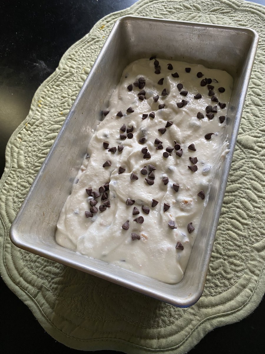 Trying the “new thing” - cottage cheese ice cream.Added mini choc chips and crumbled graham crackers. Taste test in 4 hours.