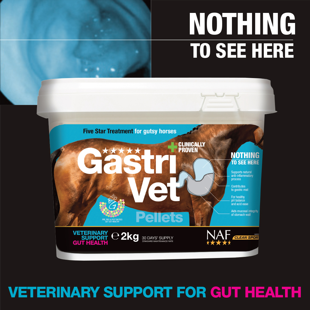 Five Star GastriVet targets the stomach and soothes and preserves lining integrity

💙 Support natural anti-inflammatory processes 
💙 Help balance pH levels and offer acid ease 
💙 Address integrity of stomach wall lining 
💙 Support fibre mat of stomach 
💙 Hindgut nourishment