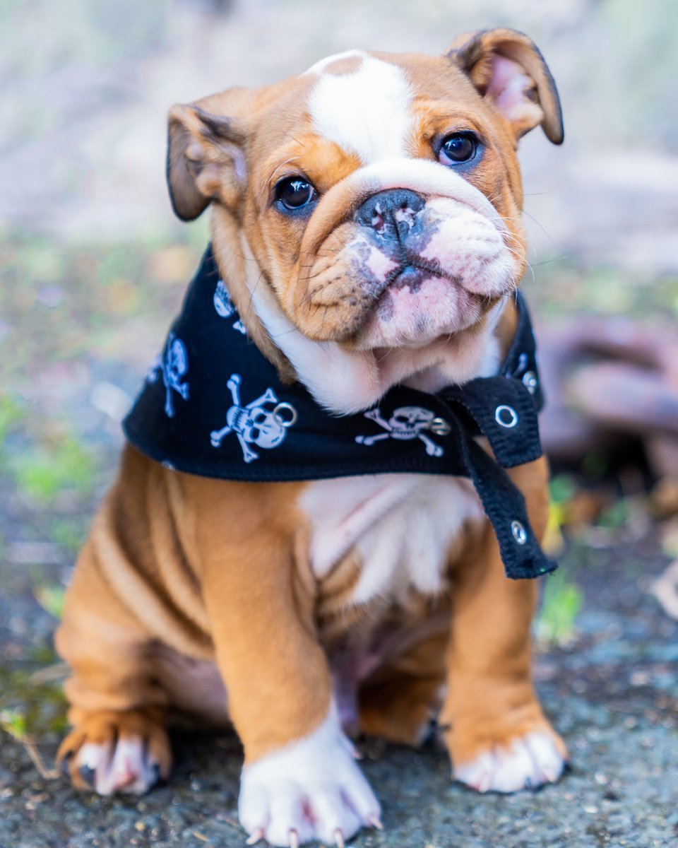 📷 Simon Day 📷 tweet media