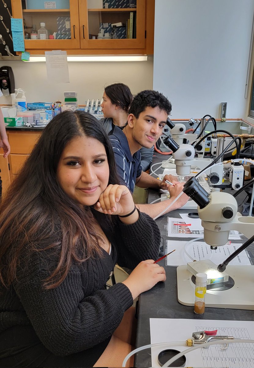 JeanetteCollet1's tweet photo. Ending the conference with some Microscope work #StanMack @CommackSchools #CommackScienceReserach @LvilleSchool https://t.co/uFfdGf4K8G