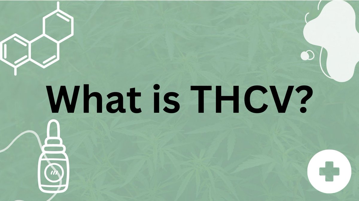 Hempeutics's tweet photo. What is THCV and how can it help? Check out our new blog discussing how THCV interacts with your body, and new research that explores its therapeutic potential. 

https://t.co/sbmZw9CkVK

#THCV #hempeuticspharmacy #CBD #naturalhealing https://t.co/mxvsjBNSu8
