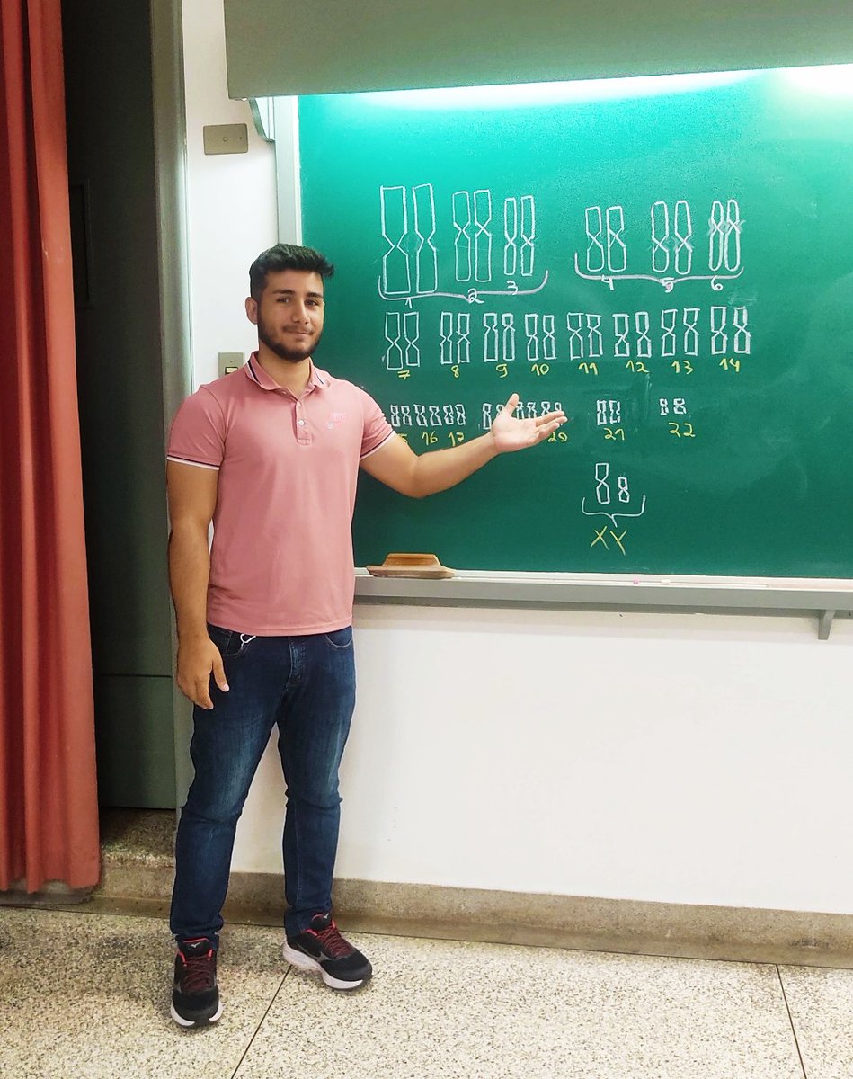 filipysaid's tweet image. Some drawings used in the classes I taught in the cytogenetics course at the Cyngela laboratory (@Citogenetica ) during my master's degree. #USP #cytogenetics #chromosomes