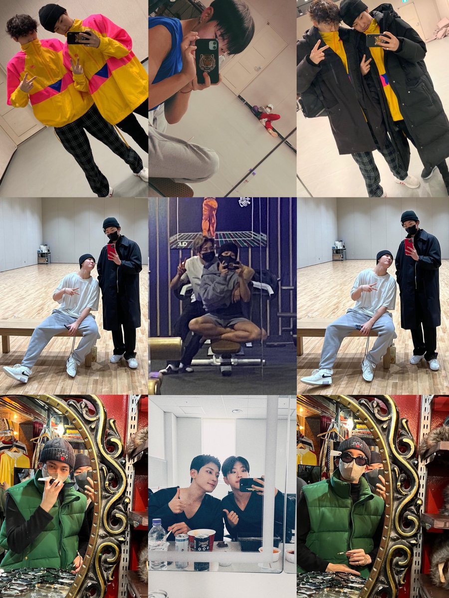 on Twitter "🐯🐈 mirror selfies"