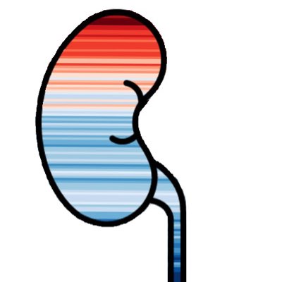 #NewProfilePic #urologydeclares - this felt like the natural profile picture for this movement! Evidence-based thread on the burden of kidney stone disease and climate change coming soon… #UroSoMe