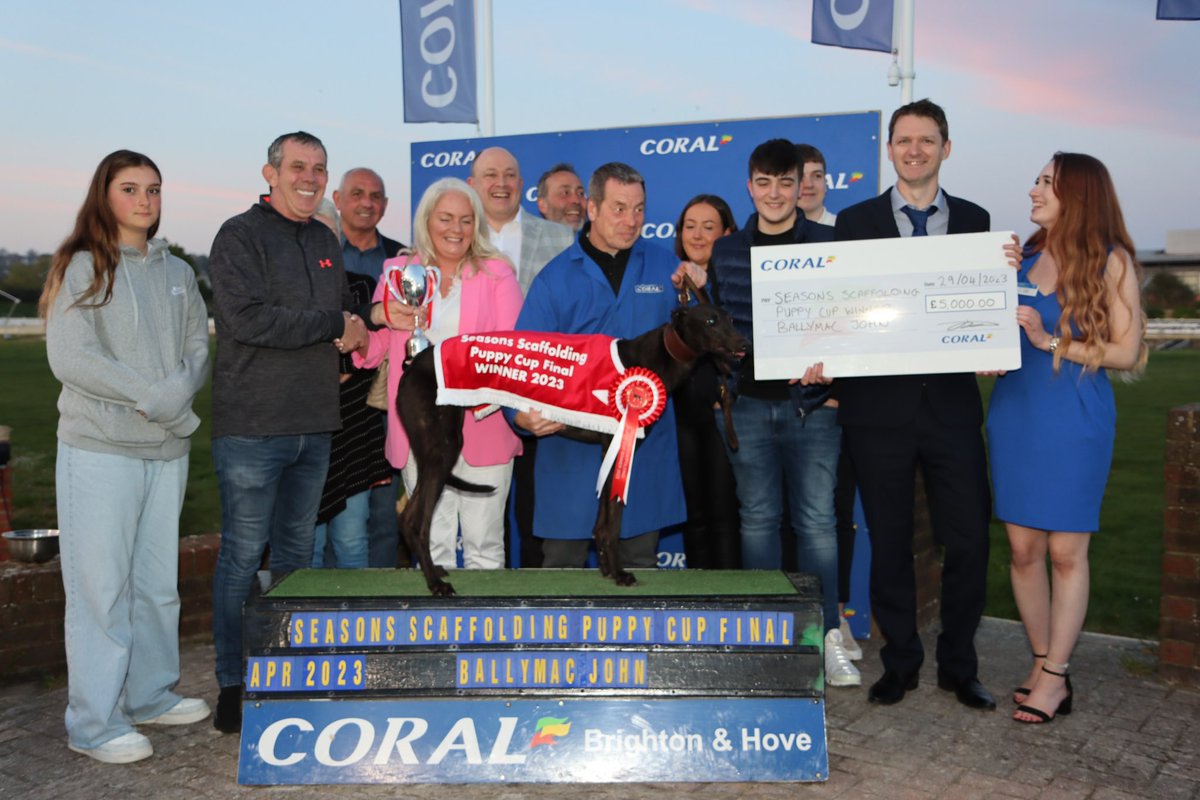 HoveGreyhounds's tweet photo. Race 8 winner - BALLYMAC JOHN🏆
Trainer - Mark Wallis
Owner - MWD Partnership

Congratulations to all connections! https://t.co/STxmKsDTjz