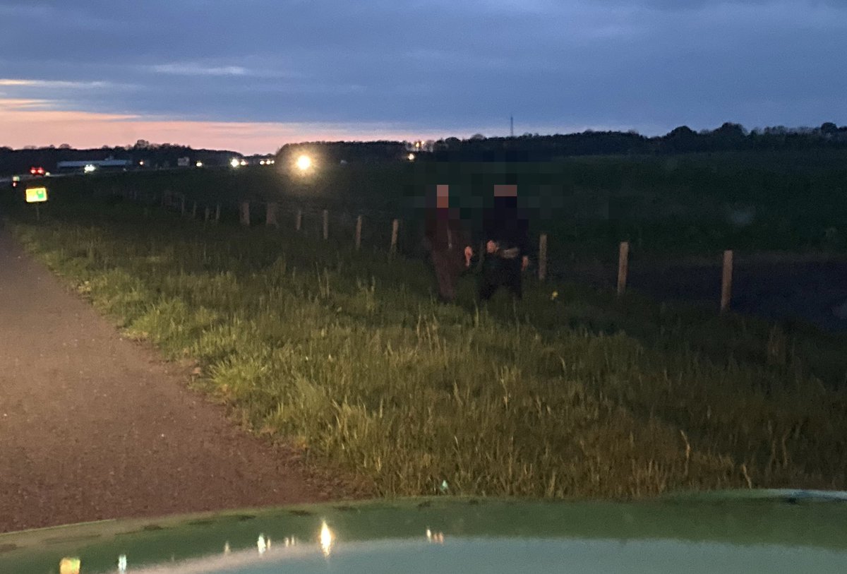 Weginspecteur Rinse tweet media