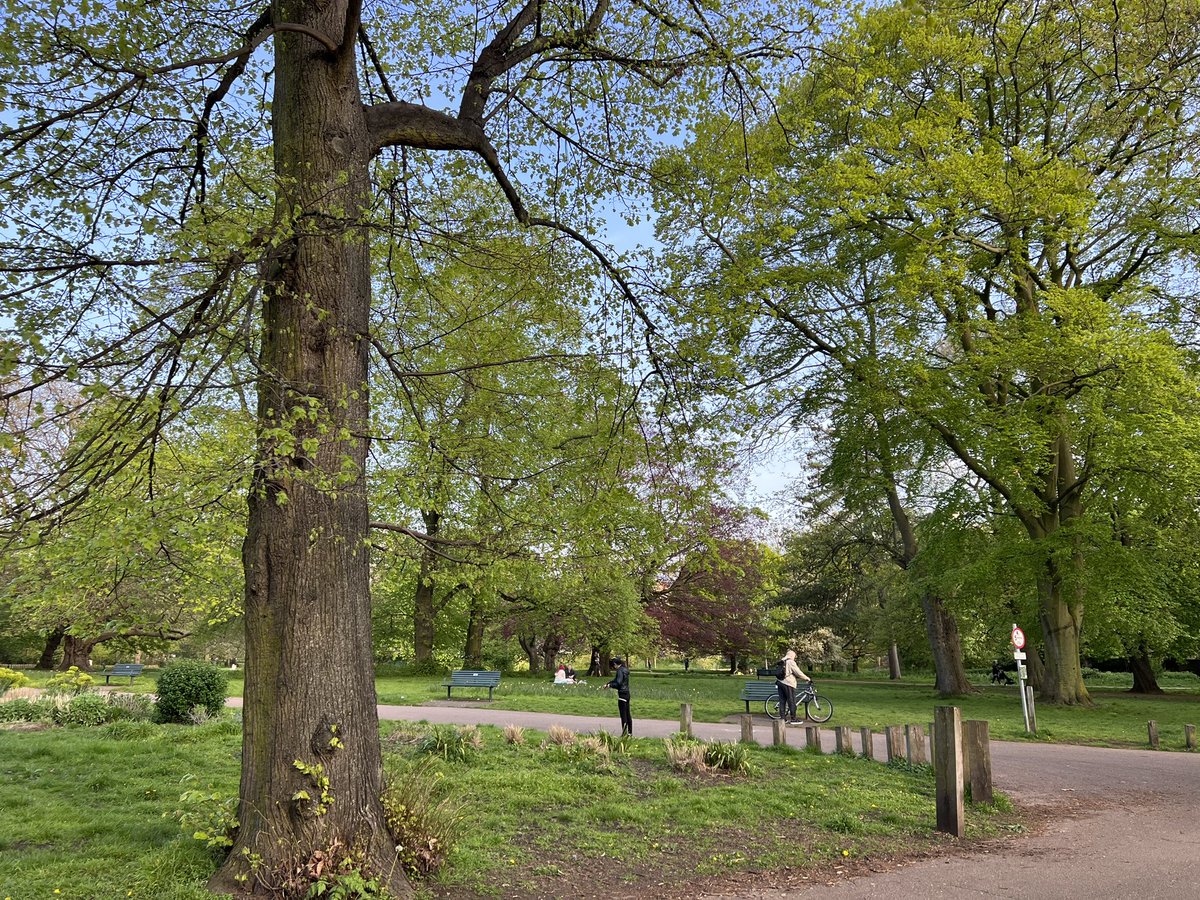 Beautiful day and a lovely get together with fellow Alex Tech teachers to learn more about neurodiversity and how that knowledge might influence our teaching. Thanks to Gurinder Grewal for sharing her expertise. <a href="/AlexTechEdu/">AT In Education</a>