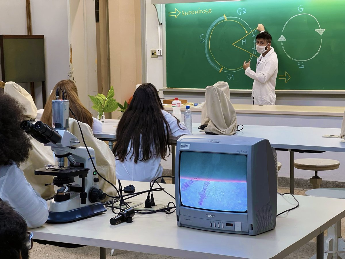 filipysaid's tweet image. Some drawings used in the classes I taught in the cytogenetics course at the Cyngela laboratory (@Citogenetica ) during my master's degree. #USP #cytogenetics #chromosomes