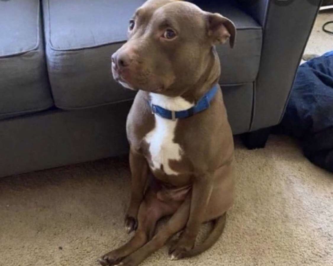 Beauty99Kay's tweet image. Me visiting indoda for the first time