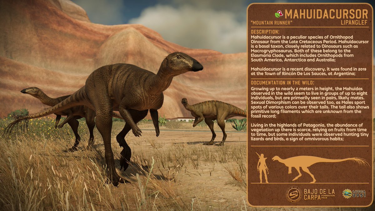 Lucca2951's tweet photo. Running nearby is the second new species to come from my modpack, the Ornithopod Mahuidacursor!
This slender runner sports an speculative fuzzy tail and an omnivorous diet, relying in both foliage and meat if needed ⛰️
#JurassicWorld #JurassicWorldEvolution2 #Mahuidacursor https://t.co/yY8OdHU9CA