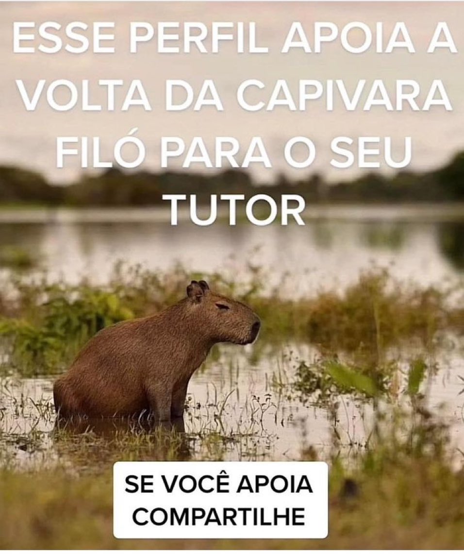 AdelanteSempre's tweet photo. #VoltaFiloProSeuTutor 
Temos q fazer pressão, e eles tem q escutar a voz do povo 🇧🇷🇧🇷🇧🇷👏👏 https://t.co/fsagTBaiRq