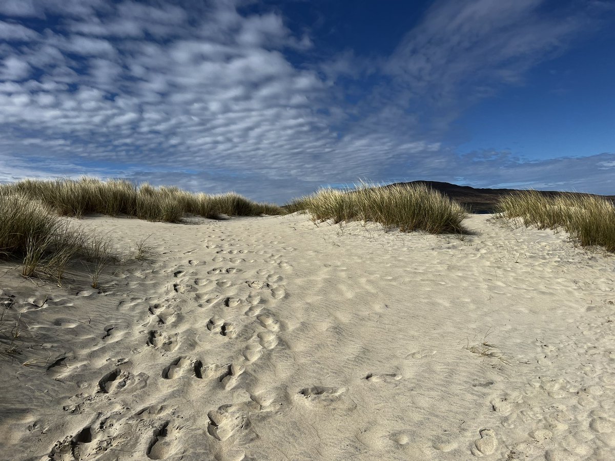 Mandyj72's tweet image. Luskentyre Isle of Lewis absolutely beautiful 😍