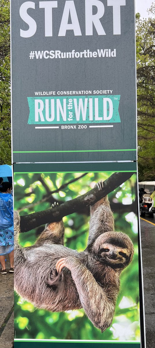 TheWCS's tweet photo. Thank you @MontefioreNYC for sponsoring #WCSRunForTheWild @BronxZoo. Thousands made tracks today for #sloths and all of nature with your support. https://t.co/eHHyRMr1Qm