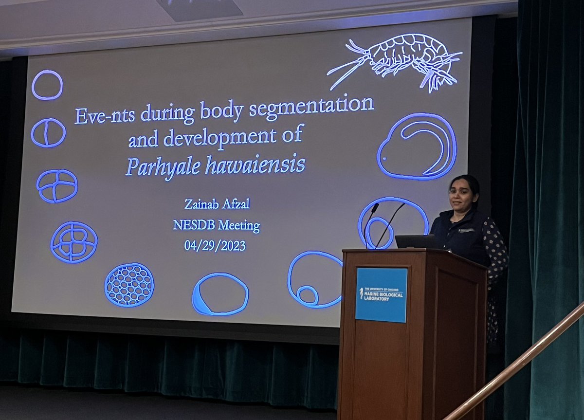 Caroline Hoppe (@caro_hoppe) on Twitter photo Great morning session at <a href="/NESDBMeeting/">NESDB2023</a> wrapped up by fantastic talks from <a href="/xainabafzal/">Zainab Afzal</a> and <a href="/cboswell/">Curtis Boswell</a>. Watch out for GEARs ⚙️, generically encoded affinity reagents coming you way for use in 🐟 🐭 🧫 🔬 #nesdb2023 Great morning session at <a href="/NESDBMeeting/">NESDB2023</a> wrapped up by fantastic talks from <a href="/xainabafzal/">Zainab Afzal</a> and <a href="/cboswell/">Curtis Boswell</a>. Watch out for GEARs ⚙️, generically encoded affinity reagents coming you way for use in 🐟 🐭 🧫 🔬 #nesdb2023