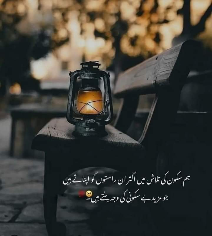 aashique356's tweet photo. True 
🫵 https://t.co/ohylr43Bbo