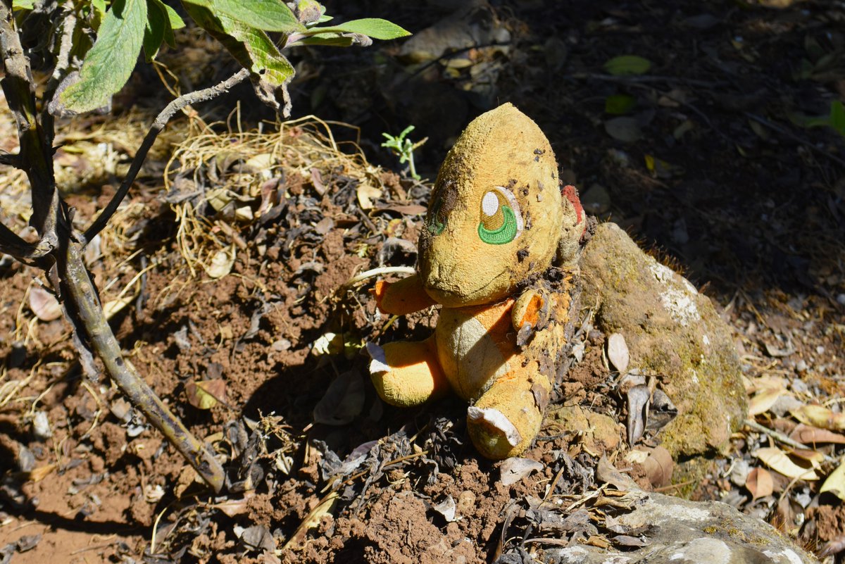 BiodiverSiTal's tweet photo. Para reducir el riesgo de incendios, sé un dueño responsable - Feat @nestortheonlyic @PedroLuisGarca8 

🔥 ¡No abandones a tus Pokémon en el monte! https://t.co/Ok5utNZiJD