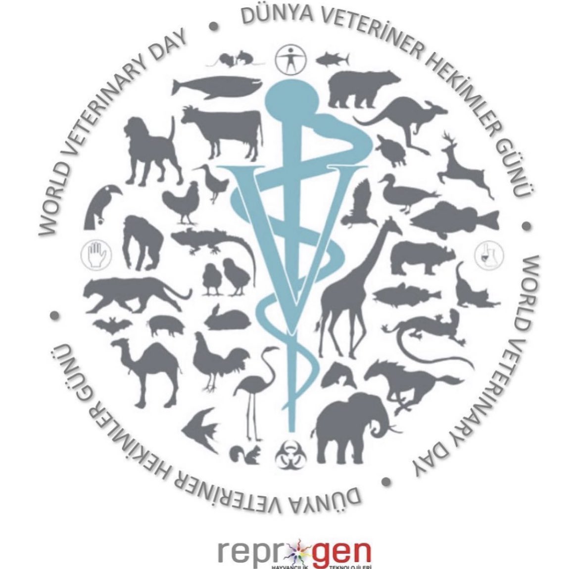 İnsanlık için çalışan bütün Veteriner Hekimlerin günü kutlu olsun…
#veterinerhekimlergünü