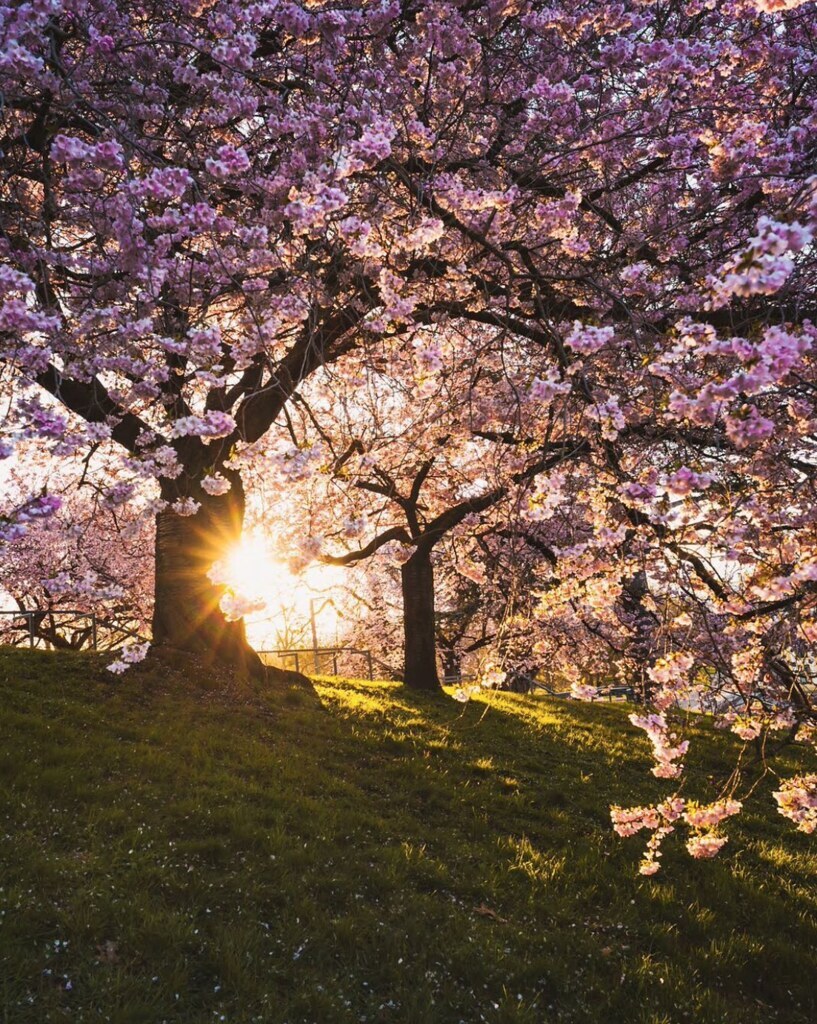 Only the Good Stuff: Multivitamins For Your Weekend [4.29.2023] ift.tt/j6PWOro