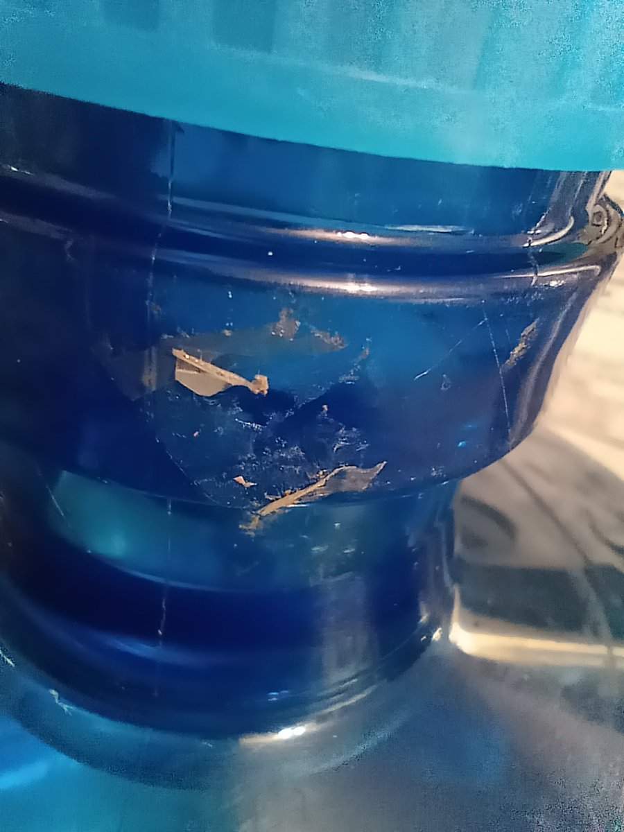 rodneygamundi's tweet photo. @CocaColaMx después de quitar el sello transparente me encontré con ésto, no quedó bien lavado el garrafón en sus instalaciones antes de llenar con agua el garrafón https://t.co/rPJ5mOz6E3