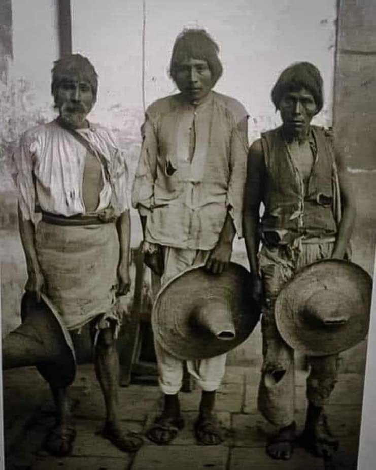 ZorrilloPablo's tweet photo. "Si el campesino quiere sembrar que lo haga en macetas, no en mis tierras", eso decían los hacendados; por eso cuando Zapata los llamó al levantamiento revolucionario, el campesino no lo dudó ni un momento, ya que no tenían nada que perder… https://t.co/mX8SS295la