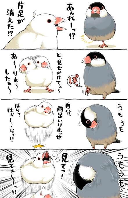 収納上手ちゃん