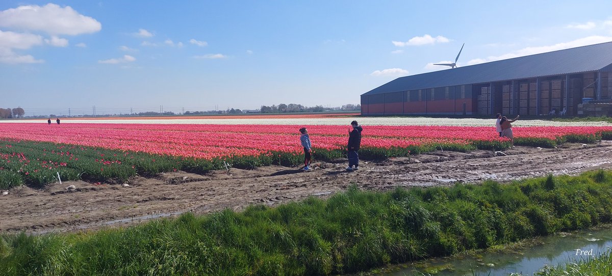 Fred (@fred4cv) on Twitter photo 