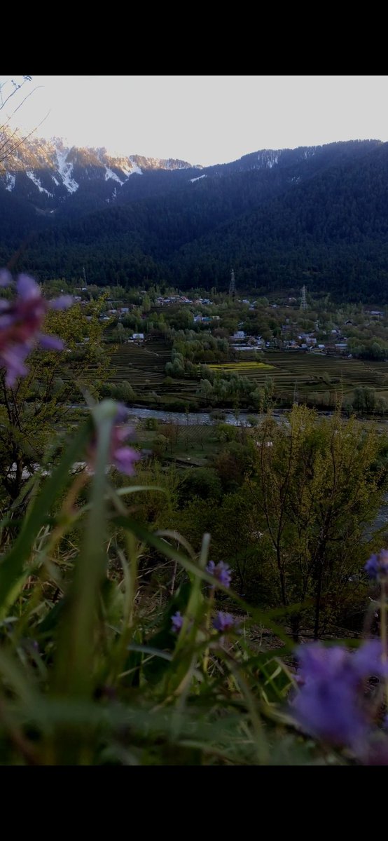 basharat726's tweet photo. Guess the place #KashmirTourism  #nature #foryoupage #NaturePhotography https://t.co/QFBCfm49MJ