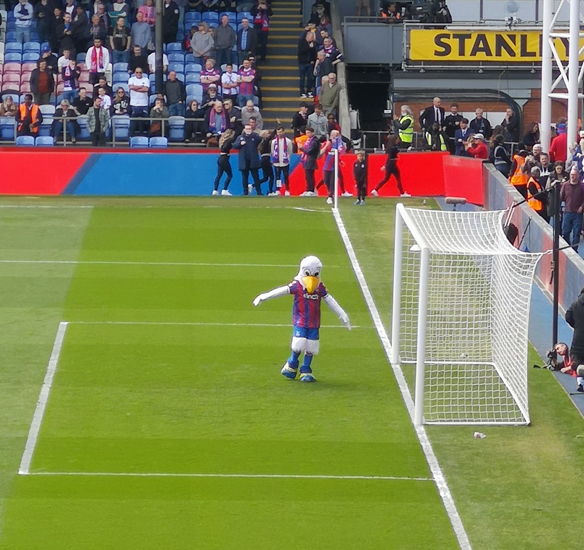 Bruins_L_B12's tweet photo. Weird looking 'eagle'...it's a fucking seagull???
#crystalpalace #birdgate https://t.co/9OdpfJ4iSP