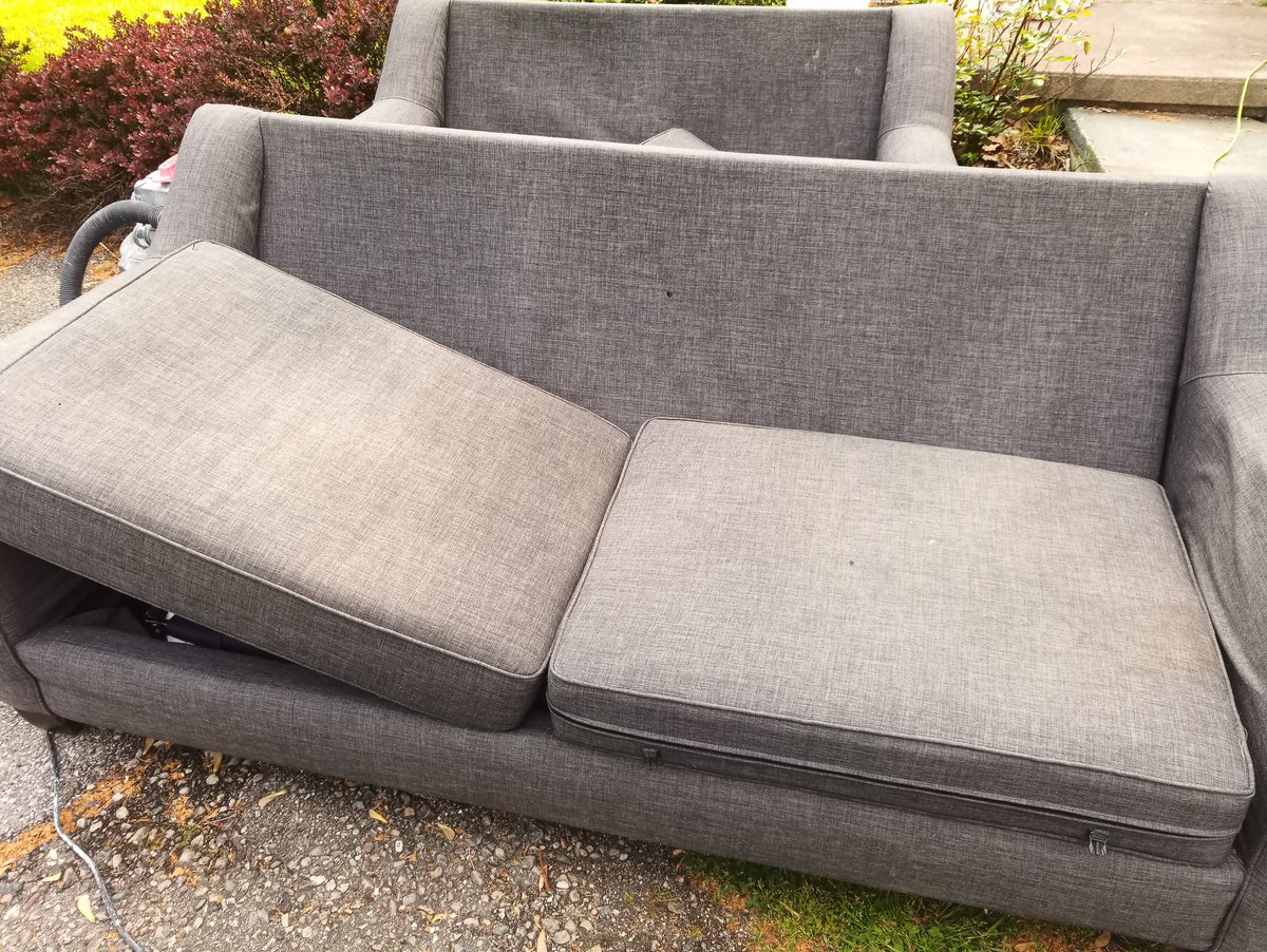 Renaxis on Twitter "Got some couches"