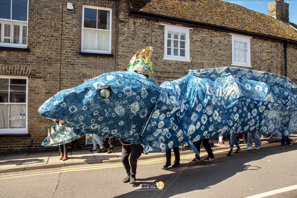 VeronicaJoPo's tweet photo. Ely Eel Day is an annual celebration observed by people from Ely, Cambridgeshire to celebrate the city's namesake — the eel. The celebrations start with a parade which begins from Cross Green outside Ely Cathedral and proceeds through the city to the Jubilee Gardens. #EelDay https://t.co/i6Q7KLeKcm