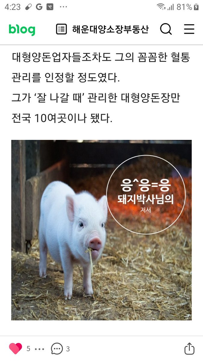 koreaisnowhere's tweet photo. 무한들이 다 모여있는 곳 https://t.co/AkUZHs5vcI