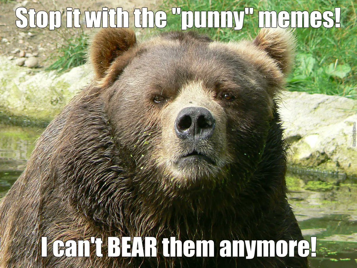 HelloRegistry's tweet image. 🐻 at the helloregistry, we are berry 🍓 punny ...