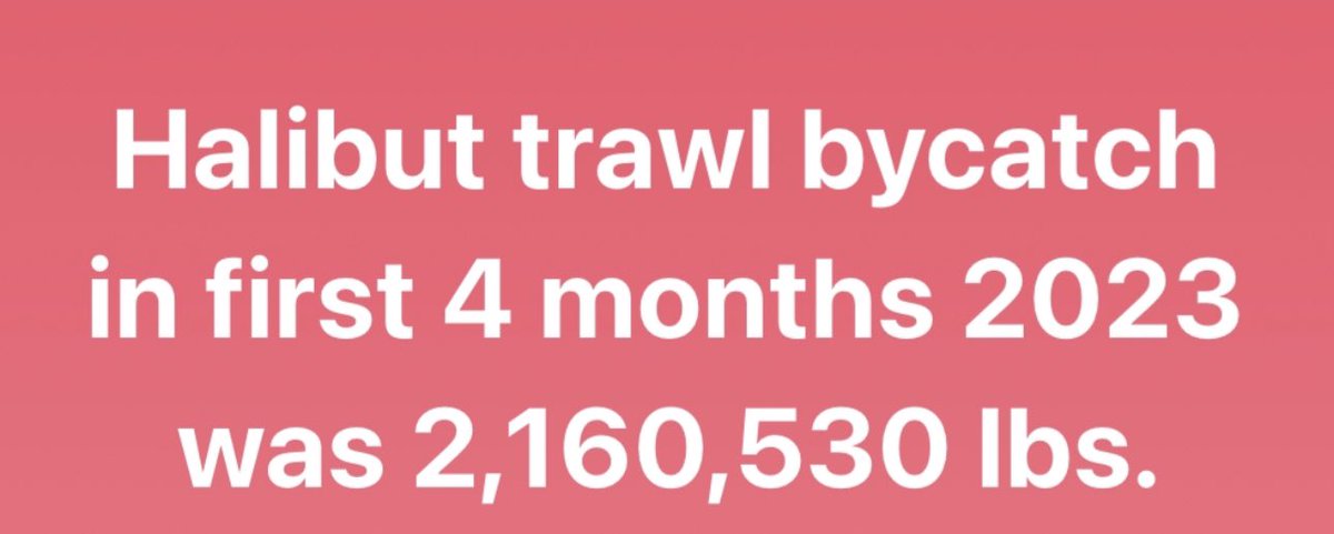 Trawler_Bycatch's tweet photo. Hey @GovDunleavy with halibut dock prices at $6 per pound, out of state trawlers have wasted $12,900,000 of Alaska’s halibut.

Are you going to do something about it besides form a new committee? https://t.co/6PxSGlahAo
