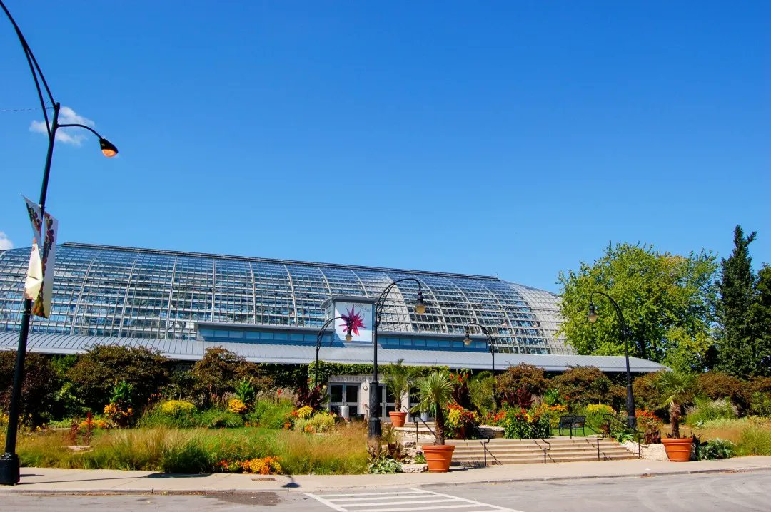 BlockClubCHI's tweet photo. The Garfield Park Conservatory is showcasing art that imagines a world where Black people are free of environmental racism. https://t.co/A2sfhpvvQv https://t.co/caKuahsx7a