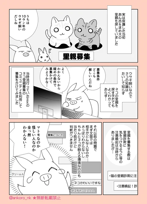 ネコの里親募集した時の話です