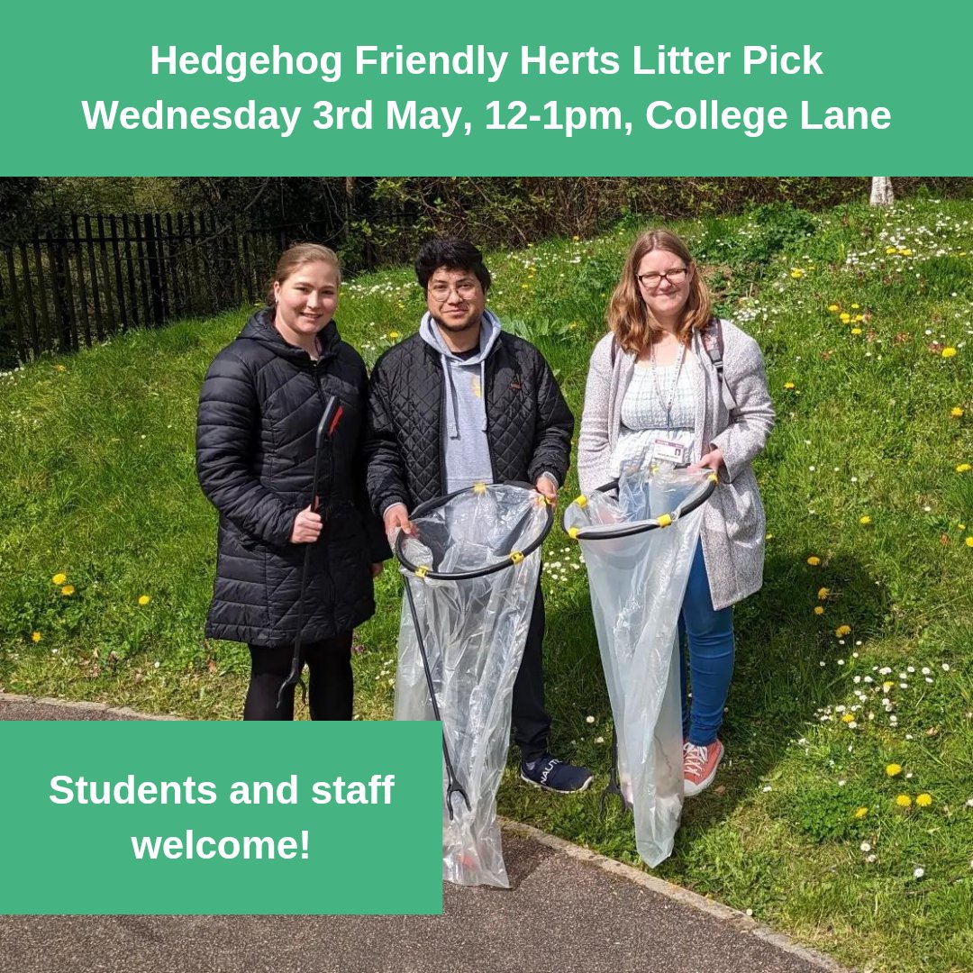 Join us for a #hedgehogfriendlyherts litter pick this Wednesday to do our bit for #hedgehogawarenessweek 🦔
Especially as our tunnel surveys have shown this week that we hedgehogs on our campus! ☺️ Meet us outside Mercer building, College Lane campus  💚