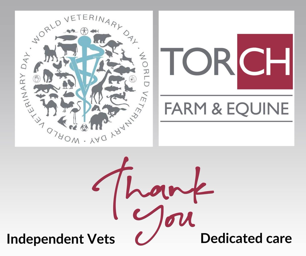 TorchEquineVets's tweet photo. 🌎 It's World Veterinary Day! ❤️ 

A time to celebrate and recognise the fantastic work all our vets do.

We hope you'll join us in saying a huge THANK YOU to our amazing team of both farm and equine vets.

#torchvets #independentvets  #worldvetday #worldveterinaryday2023 https://t.co/fbLp9ZuCoQ