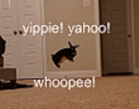 Just wanted to come by and tell you guys that I have created a new account where i'm gonna be more active <a href="/notbuminburr/">el señor de la noche</a> 
Thas all, felis sábado