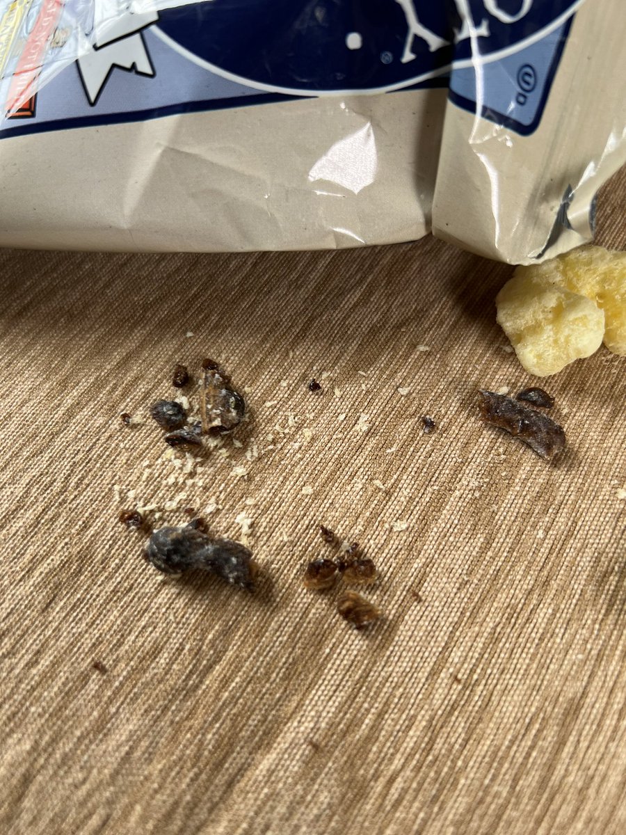 Brian Heffron tweet media