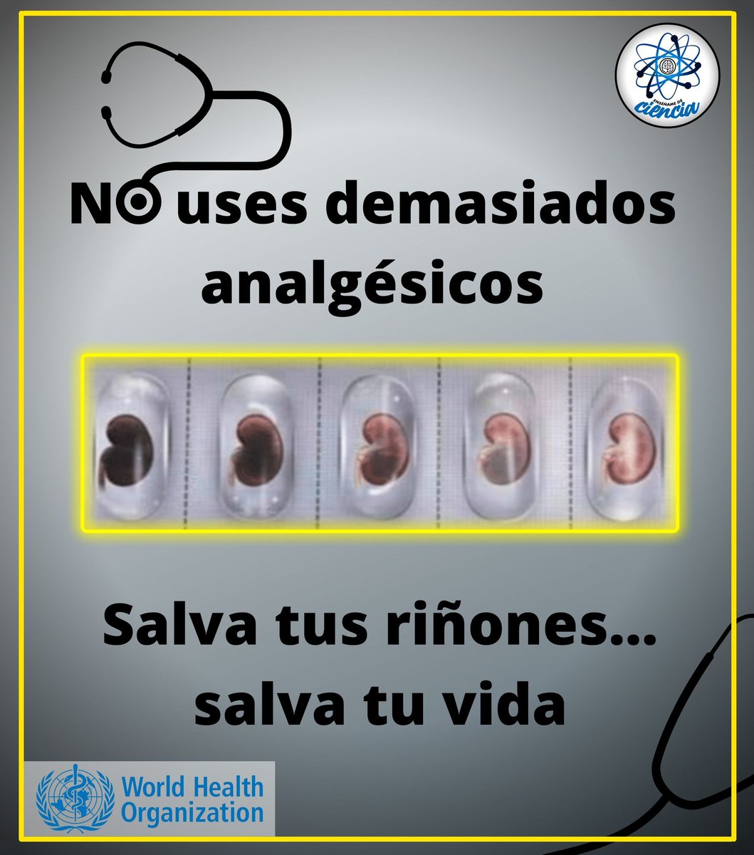 EnsedeCiencia's tweet photo. Los analgésicos AINES como ibuprofeno, naproxeno, indometazina, celecoxib, ketorolaco y diclofenaco causan vasoconstricción de las arteriolas aferentes del glomérulo, disminuyendo la filtración y el flujo sanguíneo en las arterias renales.

Es importante que se utilicen estos medicamentos para el alivio del dolor ÚNICAMENTE en los momentos de verdadera necesidad, de manera puntual, y no de manera cotidiana y bajo la correcta prescripción médica.

El uso frecuente de estos medicamentos puede provocar y empeorar la insuficiencia renal. Se debe evitar su uso en las personas deshidratadas, personas de la tercera edad y personas con enfermedad hepática crónica.

El uso de los analgésicos debe ser infrecuente para preservar la función renal.

SALVA TUS RIÑONES... SALVA TU VIDA.