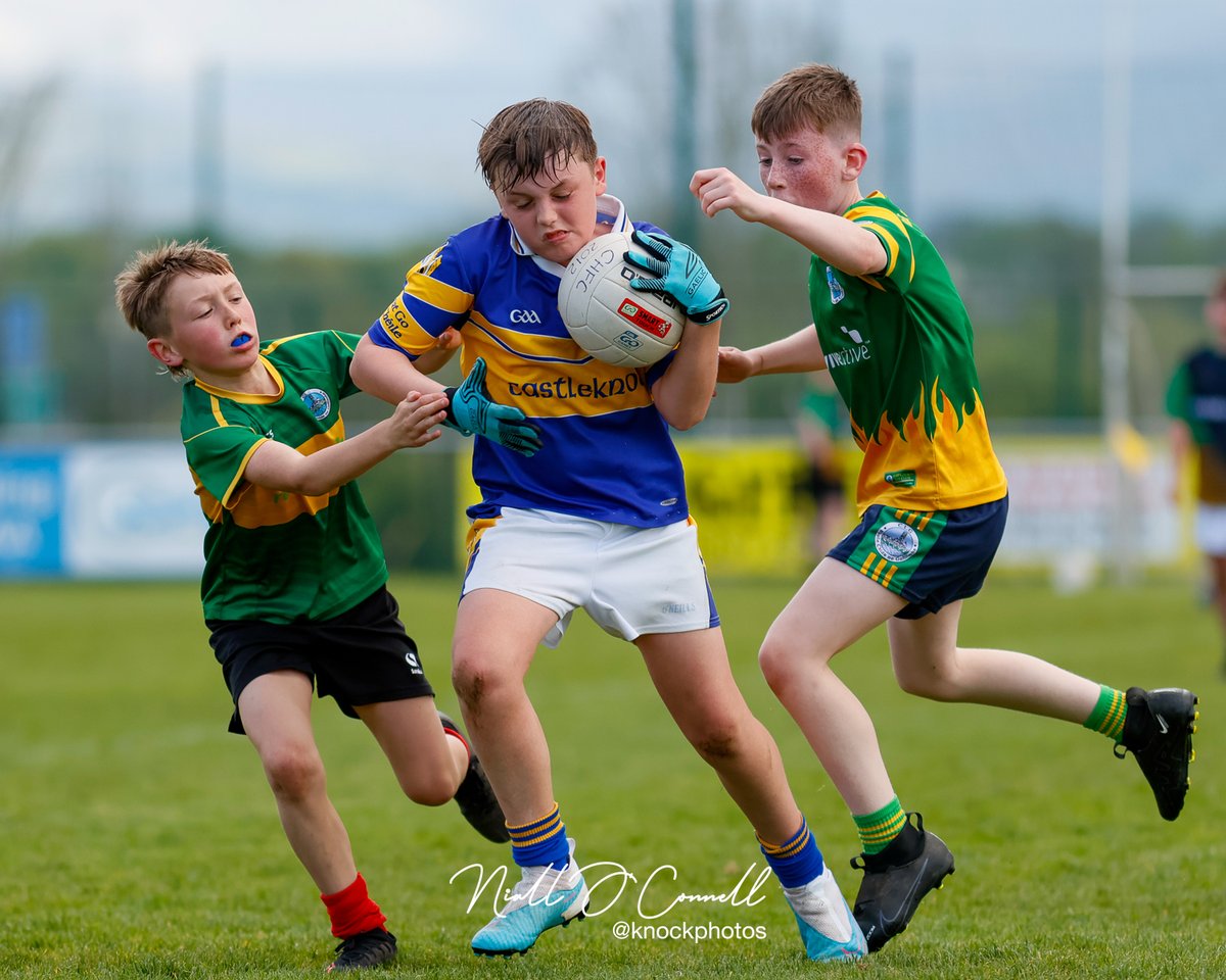 KnockPhotos's tweet photo. Some images of the @CastleknockGAA U11 2012 Boys Blitz with @ClaregalwayGaa today in Somerton. Well done to James and Dara for assisting as part of The Dermot Earley Youth Leadership Initiative. 
#DEYLI https://t.co/VShNLKoXEa