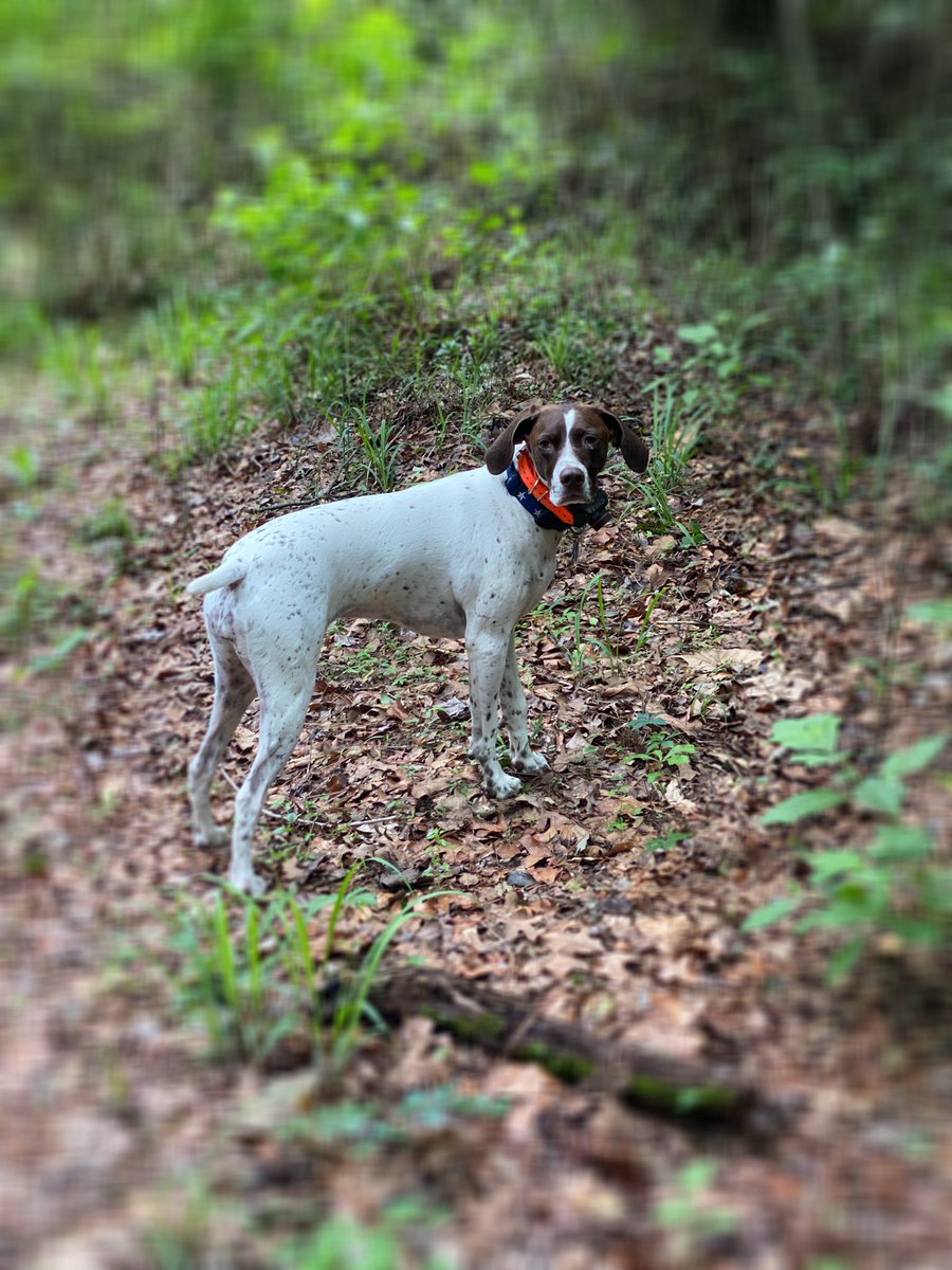 Beth Moore tweet media