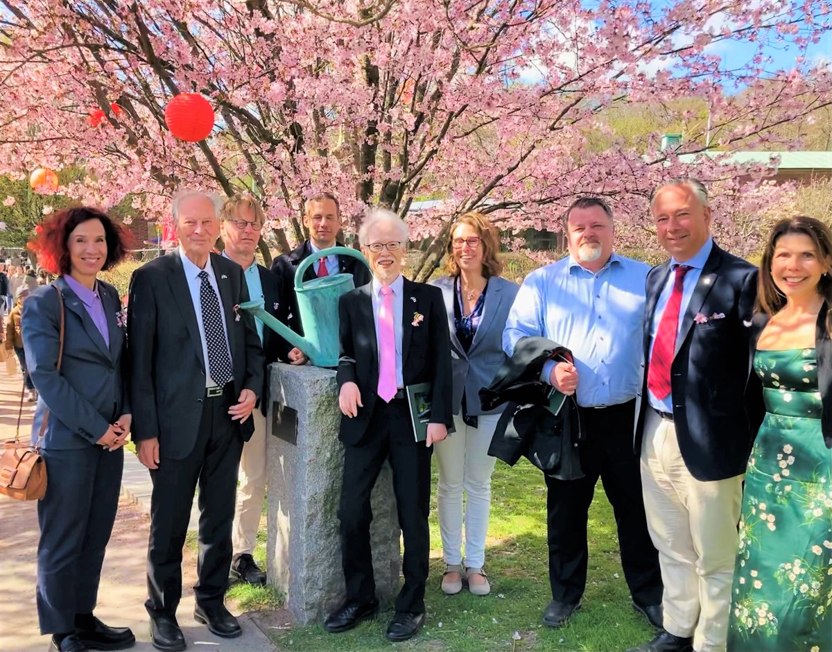 HANAMI, körsbärsblomsterskådning, är ett trevligt sätt att njuta av våren. Särskilt i den underbara botaniska trädgården i Göteborg, med blommor och växter från hela världen. De har till och med en japansk trädgård. Lyckönskningar till alla som njuter av körsbärsblommor varhelst!