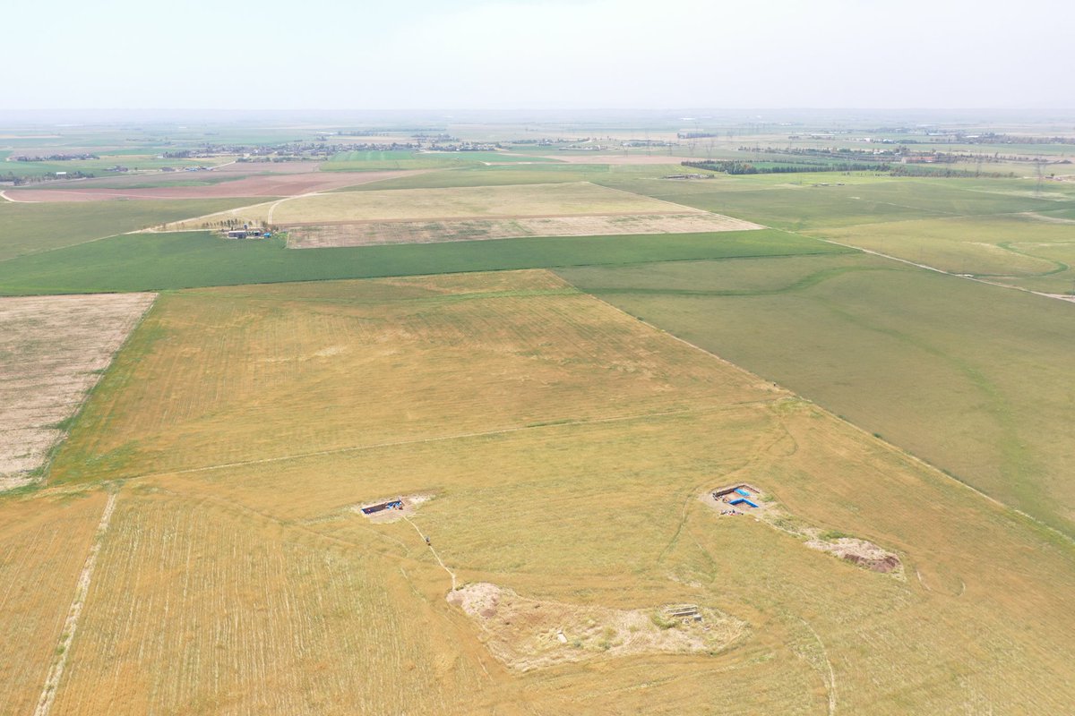 petramcreamer's tweet photo. It's a new #RLIIM season! We started up excavations again today, taking out the backdirt from last season (just 8 months ago! ๐ฑ) We're asking both old and new questions about Assyrian village life and rural resilience after imperial collapse โ stay tuned for the next 6 weeks! https://t.co/qm0Mf80Nvg