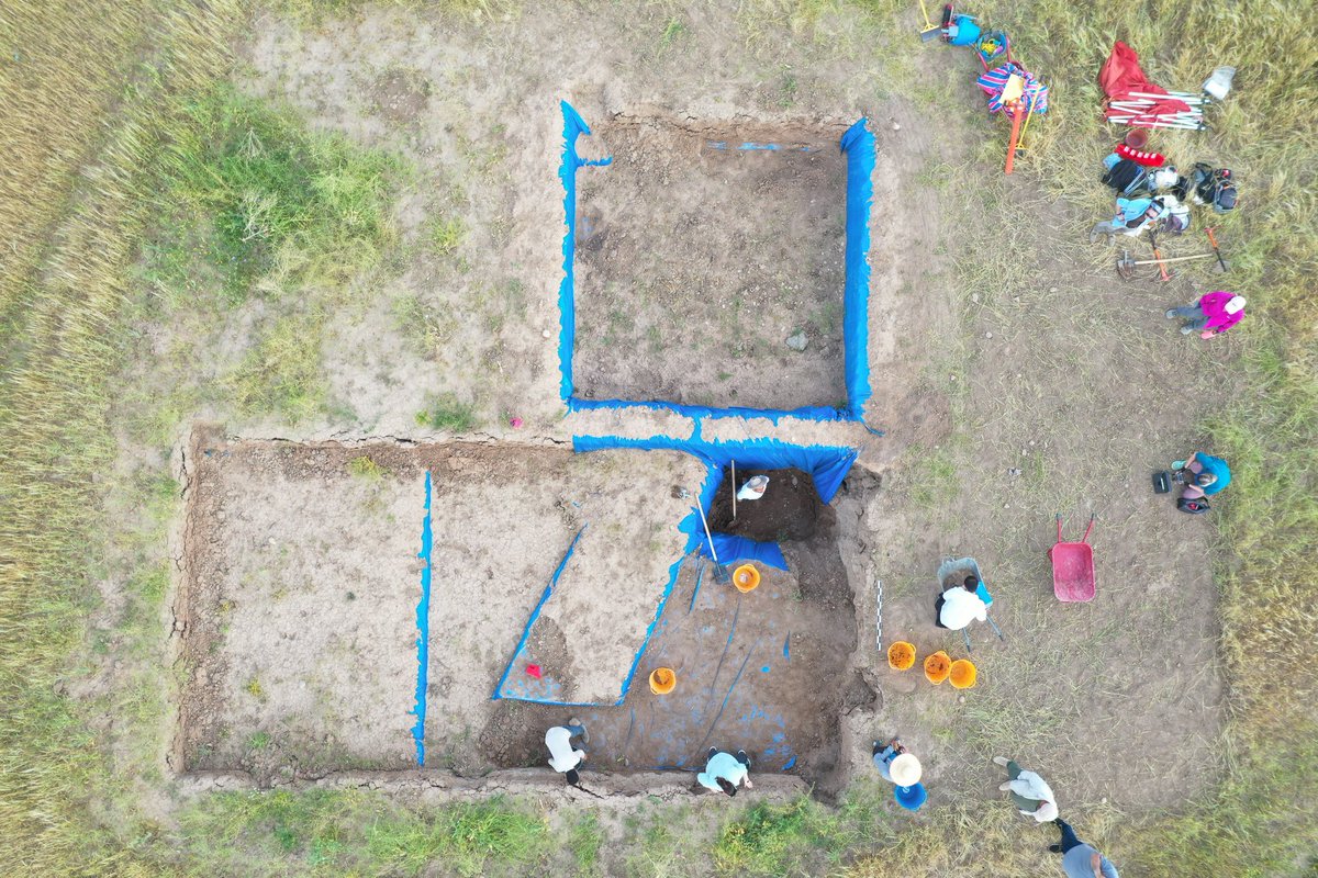 petramcreamer's tweet photo. It's a new #RLIIM season! We started up excavations again today, taking out the backdirt from last season (just 8 months ago! ๐ฑ) We're asking both old and new questions about Assyrian village life and rural resilience after imperial collapse โ stay tuned for the next 6 weeks! https://t.co/qm0Mf80Nvg