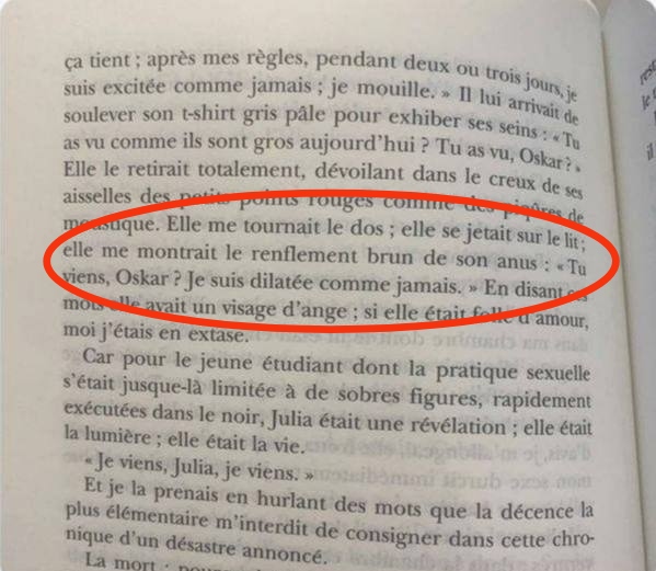fabien_mtp's tweet photo. 10 ans de travail pour écrire « Elle se jetait sur le lit. 
Elle me montrait le renflement brun de son anus. 
Tu viens Oskar ? Je suis dilatée comme jamais. » 

#BrunoLemaire : un génie incompris... https://t.co/YynJT0I5Al