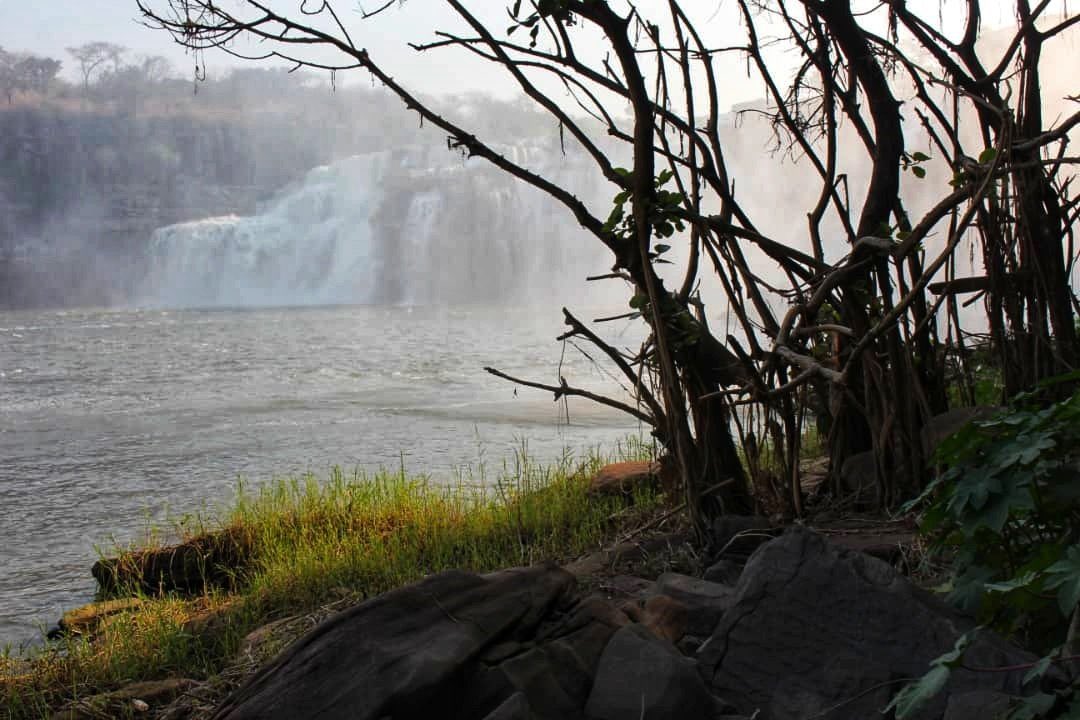 JumbaDrc's tweet photo. 🇨🇩❤️ #Kyubo #HautKatanga #Katanga
Chute de Kyubo
Elles sont situées dans le territoire de Mitwaba sur la rivière Lufira à cote du village de Kiubo, à 300 kilomètres de Lubumbashi.
#DRC #Congo #Tourisme #VisitCongo 
@benjimk @SORAZIZ @tisyamukuna @CybelleKamba @damkup @Beenky1 https://t.co/2nJgpX2pPC