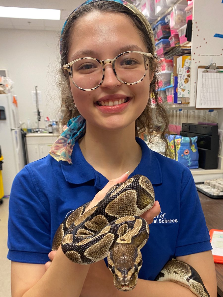 gall_leigh's tweet photo. 🐍🐍 https://t.co/wCTGFj8RTp